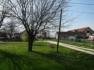 Riđake