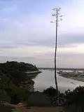 La Ria de Alvor