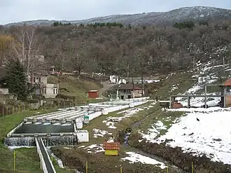 Gornji Dušnik