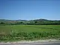 Rizière de la vallée de Kočani.
