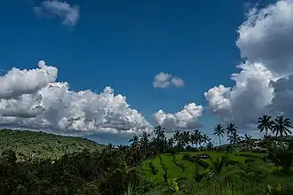 Munduk