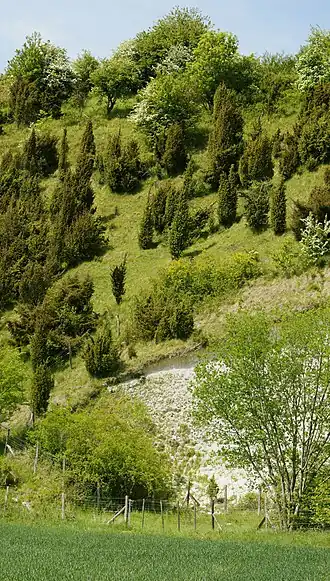 Nœux-lès-Auxi