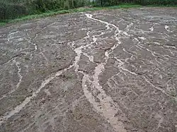 Érosion en rigole.