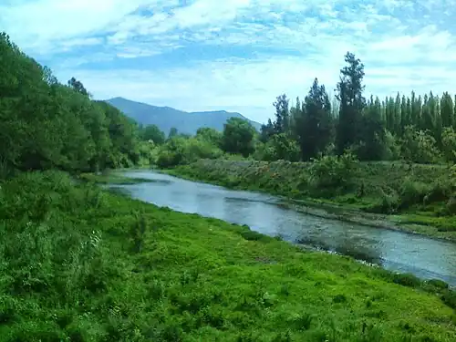 Rio Angostura