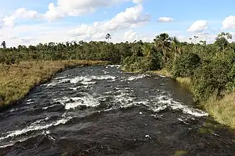 Mineiros