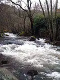 Rio Francia.