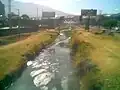 Le río Rocha.