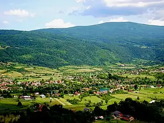 Ripač