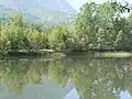 La zone humide des Îles de Brissogne.