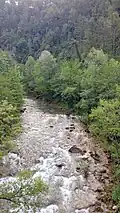 Fleuve Llobregat au pont de la Via Verda del Llobregat (Cercs, Barcelona)