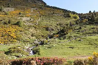 Riu del Manegor.