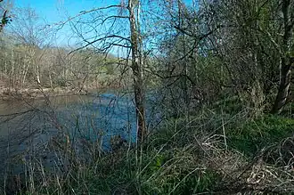 La rivière Rivanna à Shadwell.