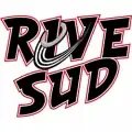 Description de l'image Rive-sud-revolution.jpg.