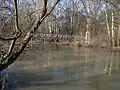 La Toundja à Elkhovo