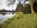Rivière Sow à l'arrière de la maison
