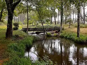 Le Bernin à Vert