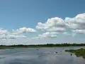 La rivière Caraquet en amont du pont de la route 11