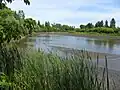 La rivière Saint-Charles (basses eaux)