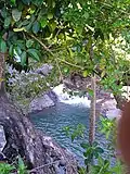 Dernier plan d'eau avant l'embouchure.