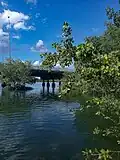 Rives de la Rivière Salée.