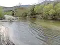 U Rizzanesu è u ponti di Spin'à cavaddu