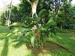 Jardins.