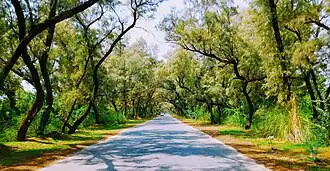 Khushab