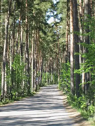 Route vers le parc naturel de Kallahti.