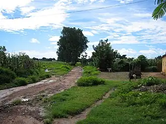 Benkadi (Kangaba)
