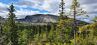 Fyresdal