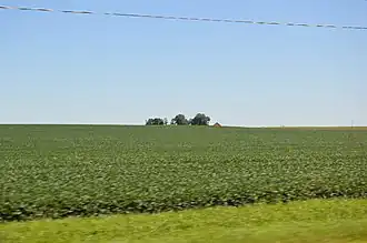 Roanoke Township