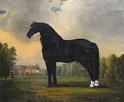 Peinture d'un grand cheval noir avec des marques blanches.