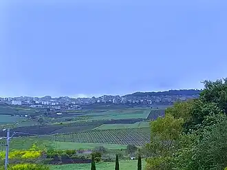 Roccamena