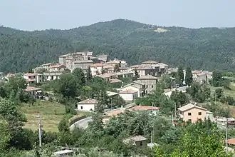 Torniella