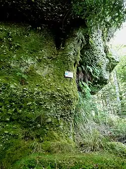 Roche de l'Ours.