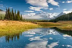 Un petit lac bordé de hautes herbes, avec derrière de grands sapins et, derrières encore, des montagnes blanches encore plus hautes.