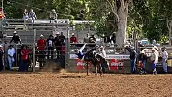 Rodéo sur Cheval