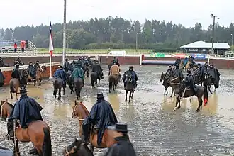 Loncoche