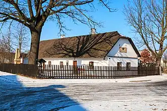 Rybitví