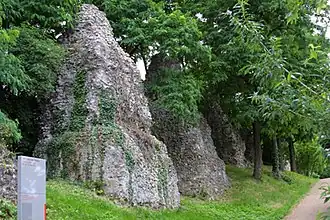 Vestige de l'aqueduc de Mayence.