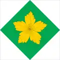 Drapeau de Rokytne
