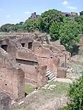 Ruines du Circus Maximus.