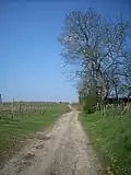 La chaussée romaine à  Bommershoven