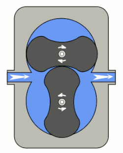 Animation