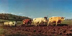 Peinture de charrue tirée par deux fois six vaches. Les premières sont blonde, rouge et blanche.