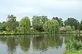 Berges de la roseraie