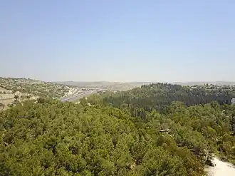 Image illustrative de l’article Forêt Rosh HaAyin