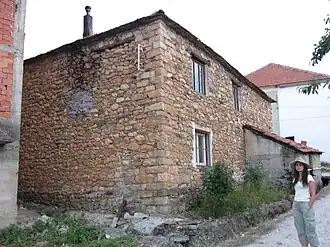 Rotino