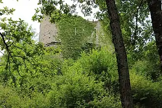 Image illustrative de l’article Château de Rougemont (Côte-d'Or)