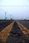 La route 298 à Sainte-Luce.